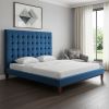 furnNavy Blue Solid Wood King Tufted Upholstered Velvet Bed